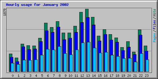 Hourly usage for January 2002