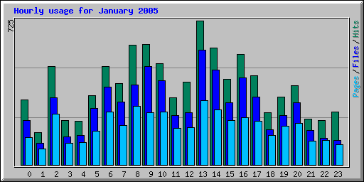 Hourly usage for January 2005