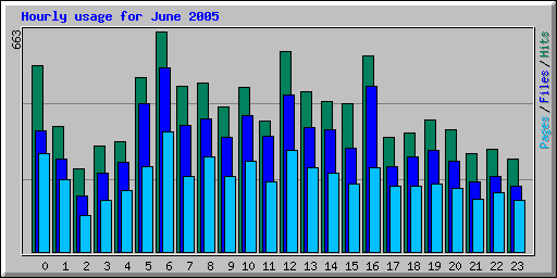 Hourly usage for June 2005