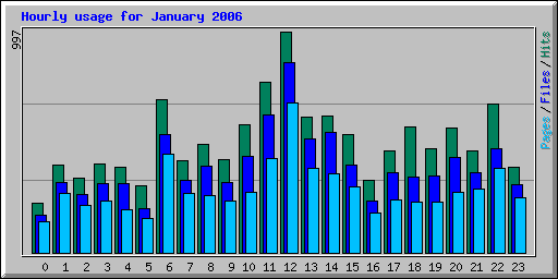 Hourly usage for January 2006