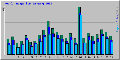 Hourly usage for January 2009